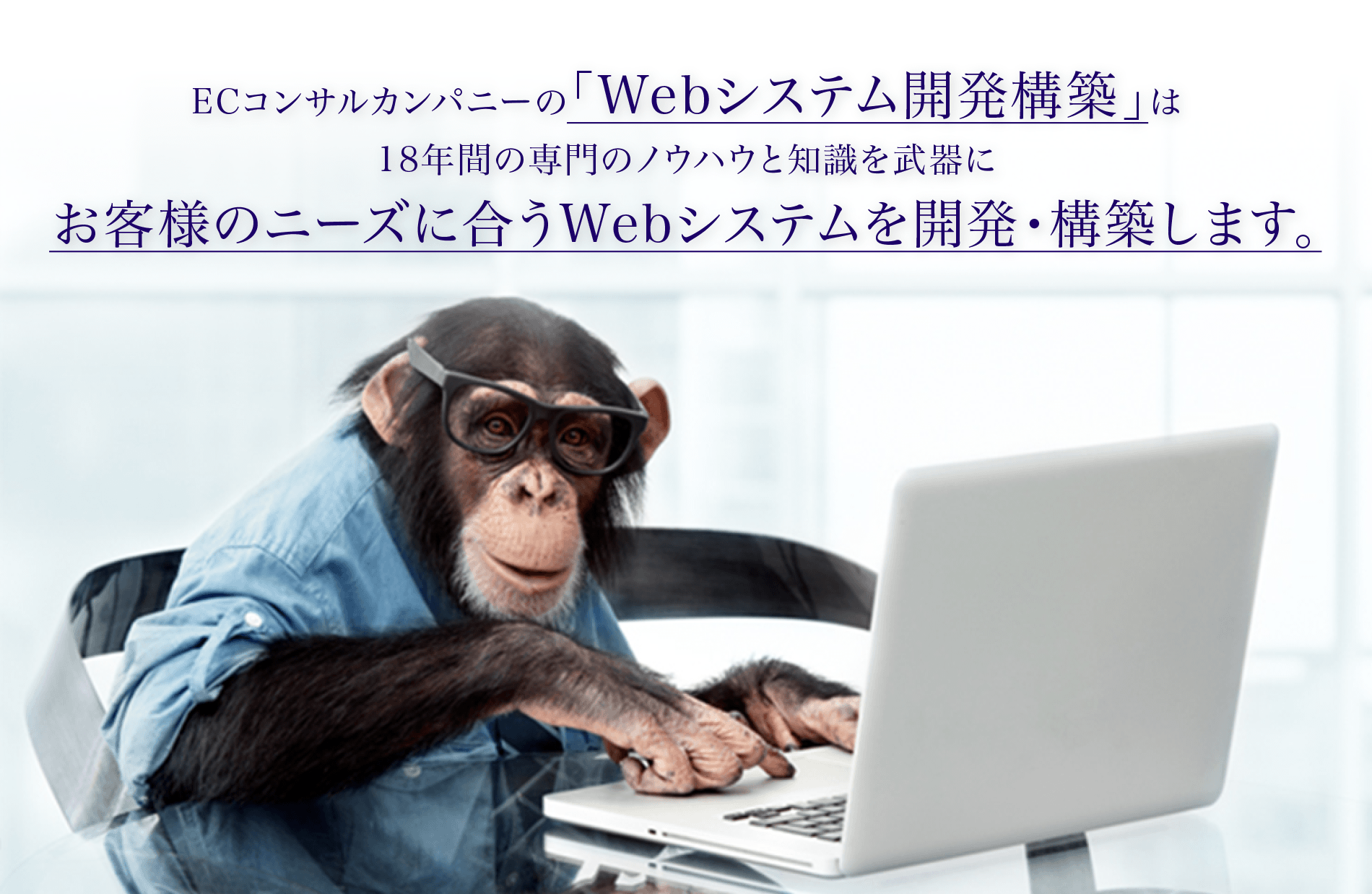 ECコンサルカンパニーの「Webシステム開発構築」は18年間の専門のノウハウと知識を武器にお客様のニーズに合うWebシステムを開発・構築します。
